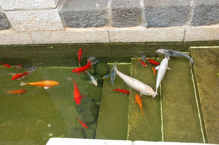 DSC_4187.JPG - (c)RParedes