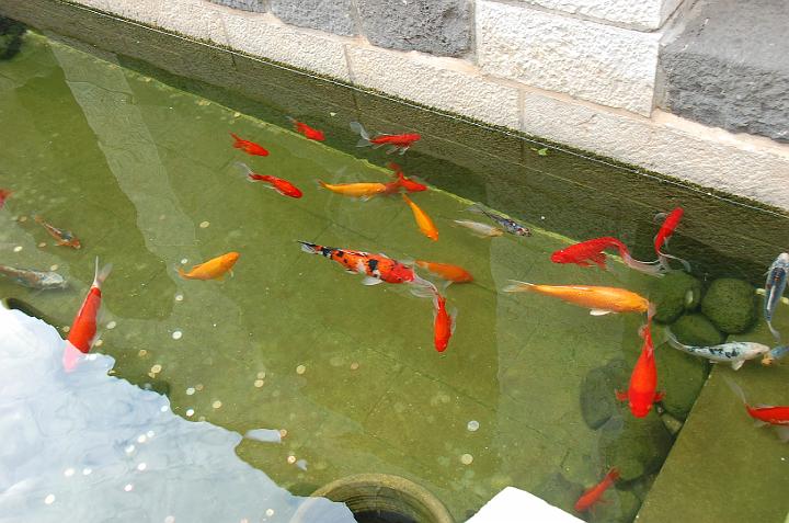 DSC_4188.JPG - (c)RParedes